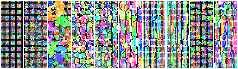 sequence of multicellular phenotypes observed in a DISHTINY experiment