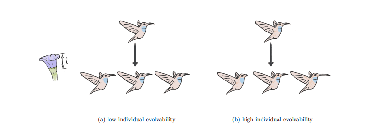 illustration of selection for evolvability via modularly-varying fitness function