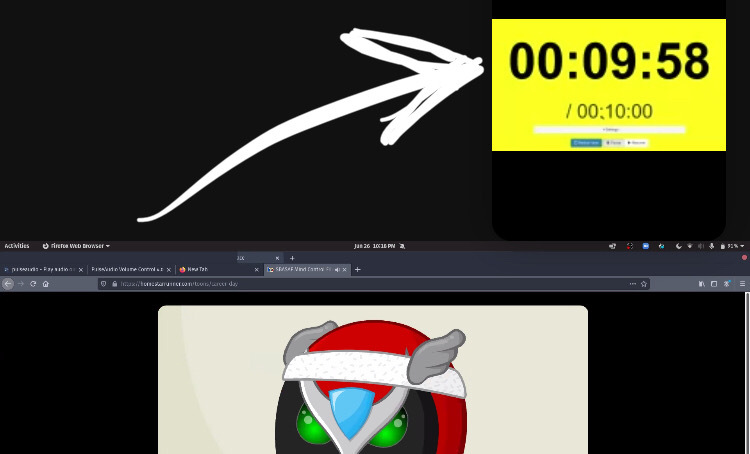 zoom screenshot showing timey mctimeface as a video guest